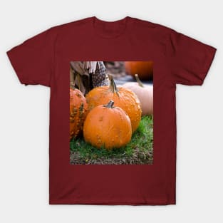 Bumpy pumpkin landscape in fall T-Shirt